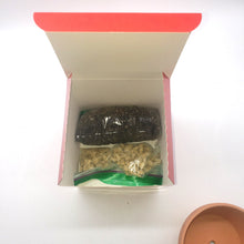 Load image into Gallery viewer, Gift Box Planting Kit