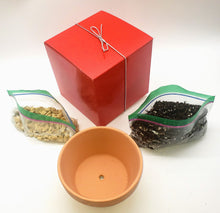 Load image into Gallery viewer, Gift Box Planting Kit