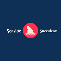 Seaside Succulents Logo