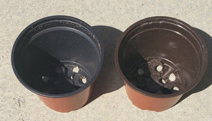 4" Plastic Pots (set of 2)
