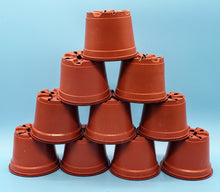 Load image into Gallery viewer, 4&quot; Plastic Pots [SET of 10]
