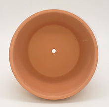 Load image into Gallery viewer, 4.5&quot; x 2.5&quot; Terracotta Pot
